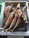 Fried fish sold by a restaurant