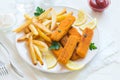 Fried Fish Sticks with French Fries Royalty Free Stock Photo