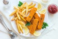 Fried Fish Sticks with French Fries Royalty Free Stock Photo