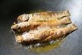 Fried fish. Three fishes frying in hot oil in pan or skillet