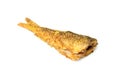 Fried fish vertically isolated.