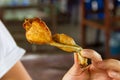 Fried frog leg Royalty Free Stock Photo