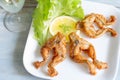 Fried frog legs on plate food concept