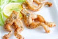 Fried frog legs on plate food concept