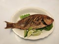 Fried Fish with Head on Lettuce Lemons White Oval Plate Royalty Free Stock Photo