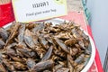 Fried giant water bug Royalty Free Stock Photo