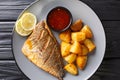 Fried gilt-head fish fillet with a side dish of potatoes and sauces close-up on a plate. Horizontal top view Royalty Free Stock Photo