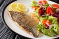 Fried gilt-head fish fillet with a side dish of vegetable salad close-up on a plate. horizontal