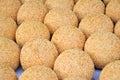 Fried Glutinous Rice Balls with Sesame