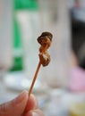 Fried grape snail