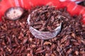 Fried Grasshoppers Chapulines in Oaxaca, Mexico