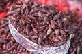 Fried Grasshoppers Chapulines in Oaxaca, Mexico Royalty Free Stock Photo