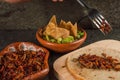 Fried grasshoppers with tortilla chips and guacamole