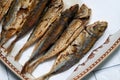 Fried horse mackerel or Japanese jack mackerel on a plate with paper towel