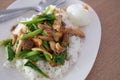 Stir fried holy basil chicken slice with an egg and cooking rice on plate Royalty Free Stock Photo