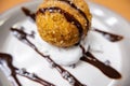 Fried ice cream with cream, chocolate syrup and chips on plate Royalty Free Stock Photo