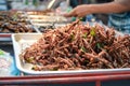 Fried insects in Bangkok, Thailand Royalty Free Stock Photo