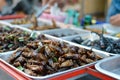 Fried insects in Bangkok, Thailand Royalty Free Stock Photo