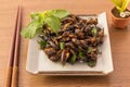 Fried insects Royalty Free Stock Photo
