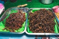 Fried Insects - crickets, locusts and grasshoppers on a vendor stall Royalty Free Stock Photo
