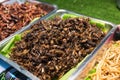 Fried Insects - crickets, locusts, grasshoppers and Worms Molitors on a vendor stall