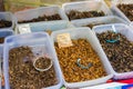 Fried insects food Royalty Free Stock Photo