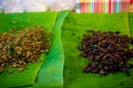 Fried insects food Royalty Free Stock Photo