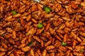 Fried insects Royalty Free Stock Photo