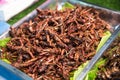 Fried Insects - locusts and grasshoppers on a vendor stall