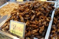 Fried insects on market Royalty Free Stock Photo