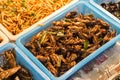 Fried insects . Night market in Bangkok. Thailand Royalty Free Stock Photo