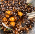 Fried insects, protein food, street food, snacks, grasshoppers, worms, quick water,