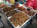 Fried insects for sale at the Chatuchak Weekend Market bangkok Thailand, cECP 2013 Royalty Free Stock Photo