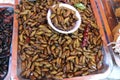 Fried insects for sale in thailand