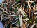 Fried insects for snack, Thai food at market