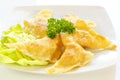 Fried kreplach - Jewish ravioli Royalty Free Stock Photo