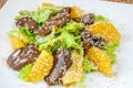 Fried liver with sesame, oranges and salad