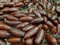 Fried long sweet lyancha of shaktigarh dipped in sugar syrup. lengcha