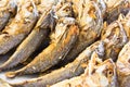 Fried mackerel fish