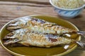 Fried mackerel fish Royalty Free Stock Photo