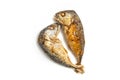 Fried Mackerel fish Royalty Free Stock Photo