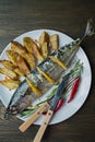 Fried mackerel served on a plate, decorated with spices, herbs and vegetables. Proper nutrition. View from above. Dark wooden Royalty Free Stock Photo