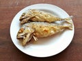 Fried mackerel. thai food