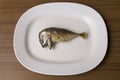 Fried mackerel in white dish