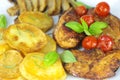 Fried meat and chips Royalty Free Stock Photo