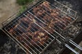 Fried meat on the grill on the grill in nature. We will have a picnic in the air. Close-up