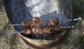 Fried meat shashlik barbecue on coals Royalty Free Stock Photo