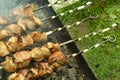 Fried meat, shish kebabs, cooked on charcoal grill Royalty Free Stock Photo
