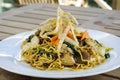 Fried meatball noodles Royalty Free Stock Photo