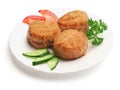 Fried meatballs with cucumbers, tomatoes Royalty Free Stock Photo